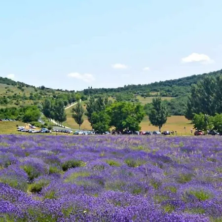 In - Balaton 53718 Apartmán *