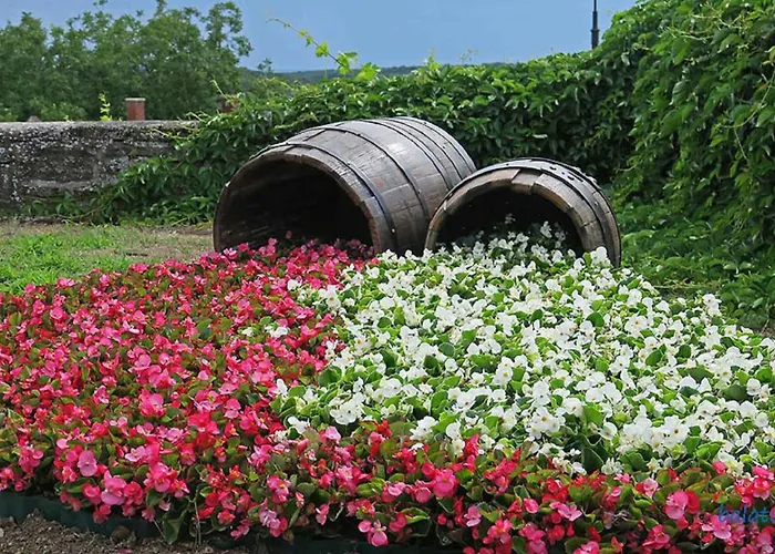 In - Balaton 53718 * Tihany