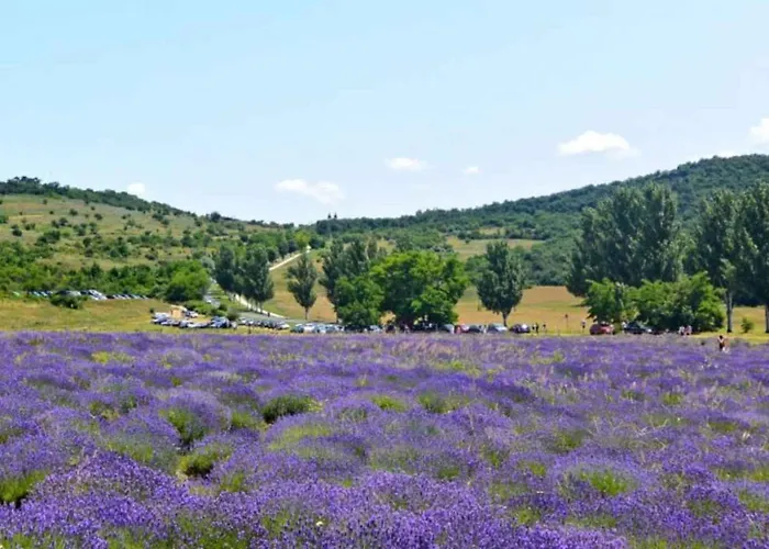 In - Balaton 53718 Apartment *